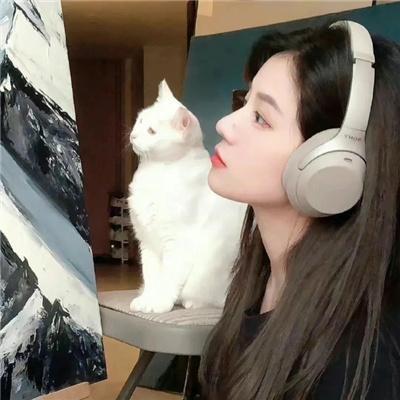 降龙大师